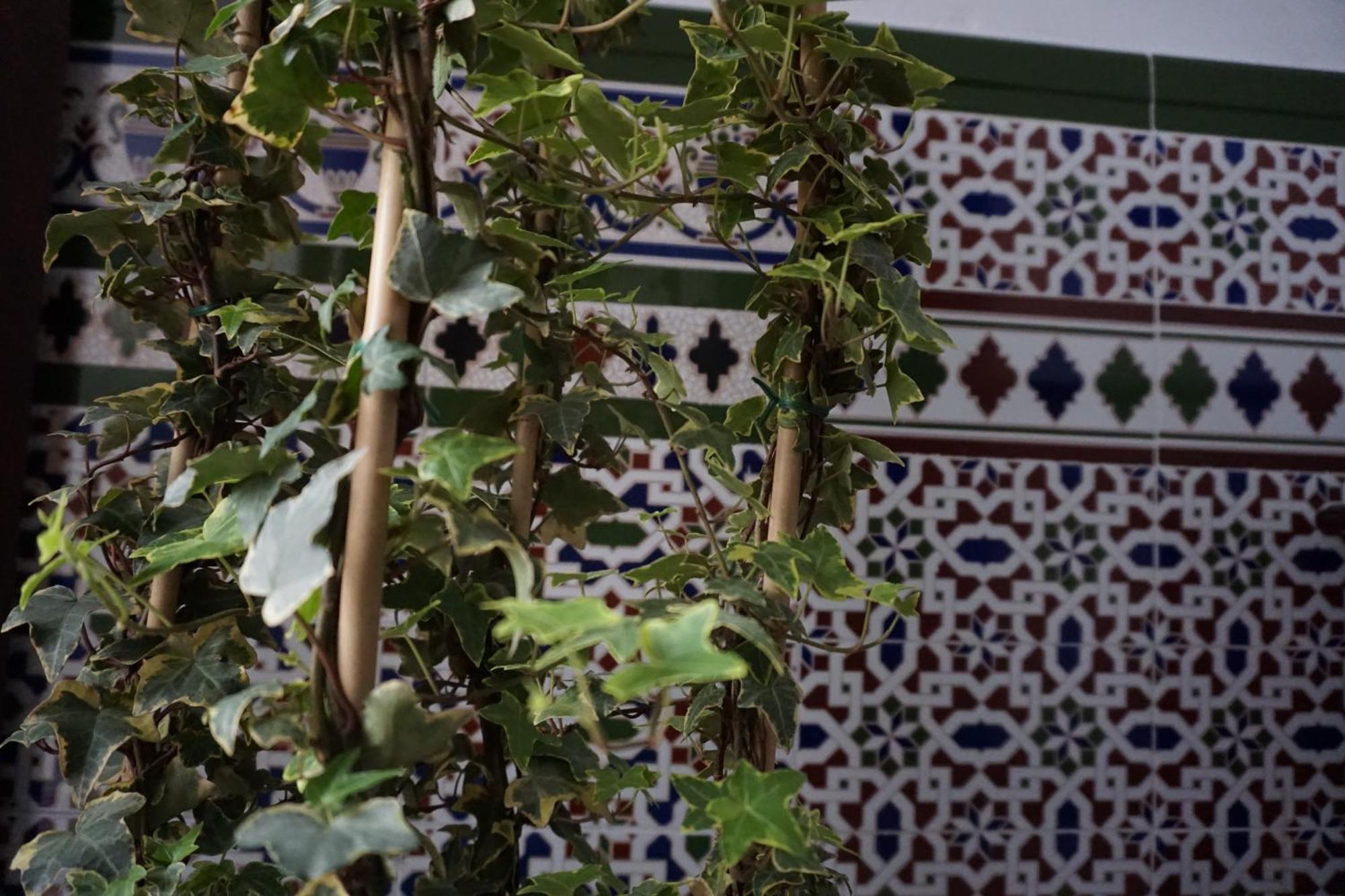 Montserrat Casa Del Mar شيبيونا المظهر الخارجي الصورة