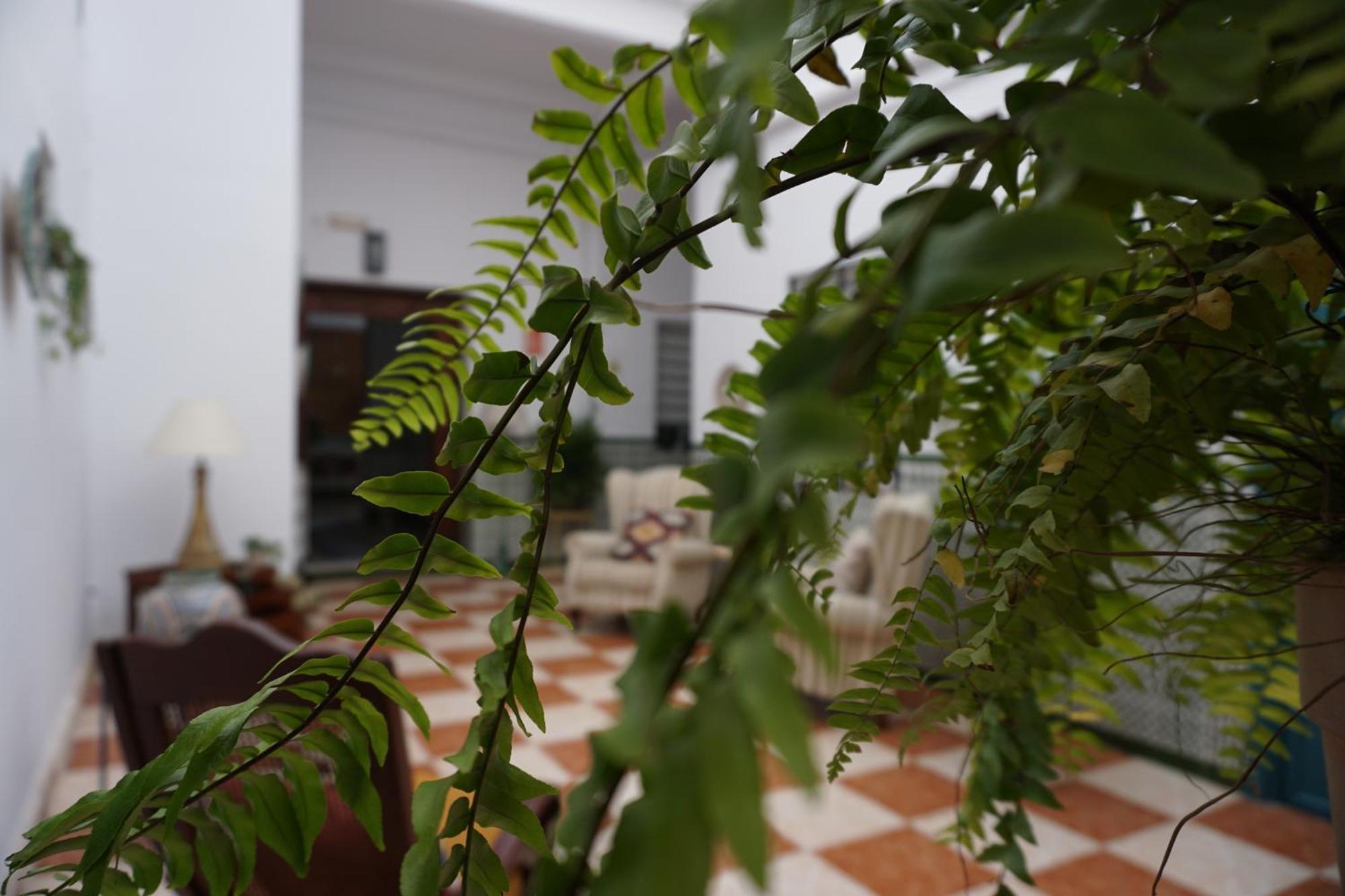 Montserrat Casa Del Mar شيبيونا المظهر الخارجي الصورة