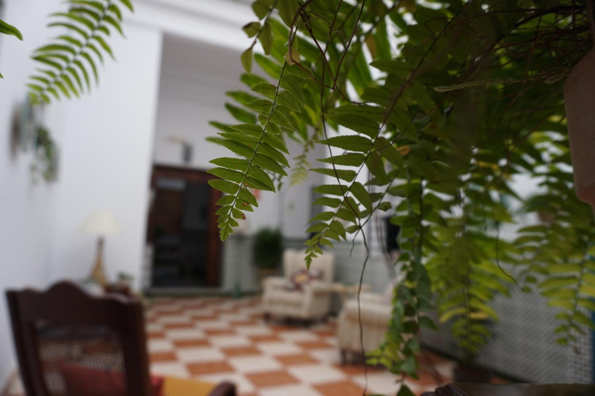 Montserrat Casa Del Mar شيبيونا المظهر الخارجي الصورة