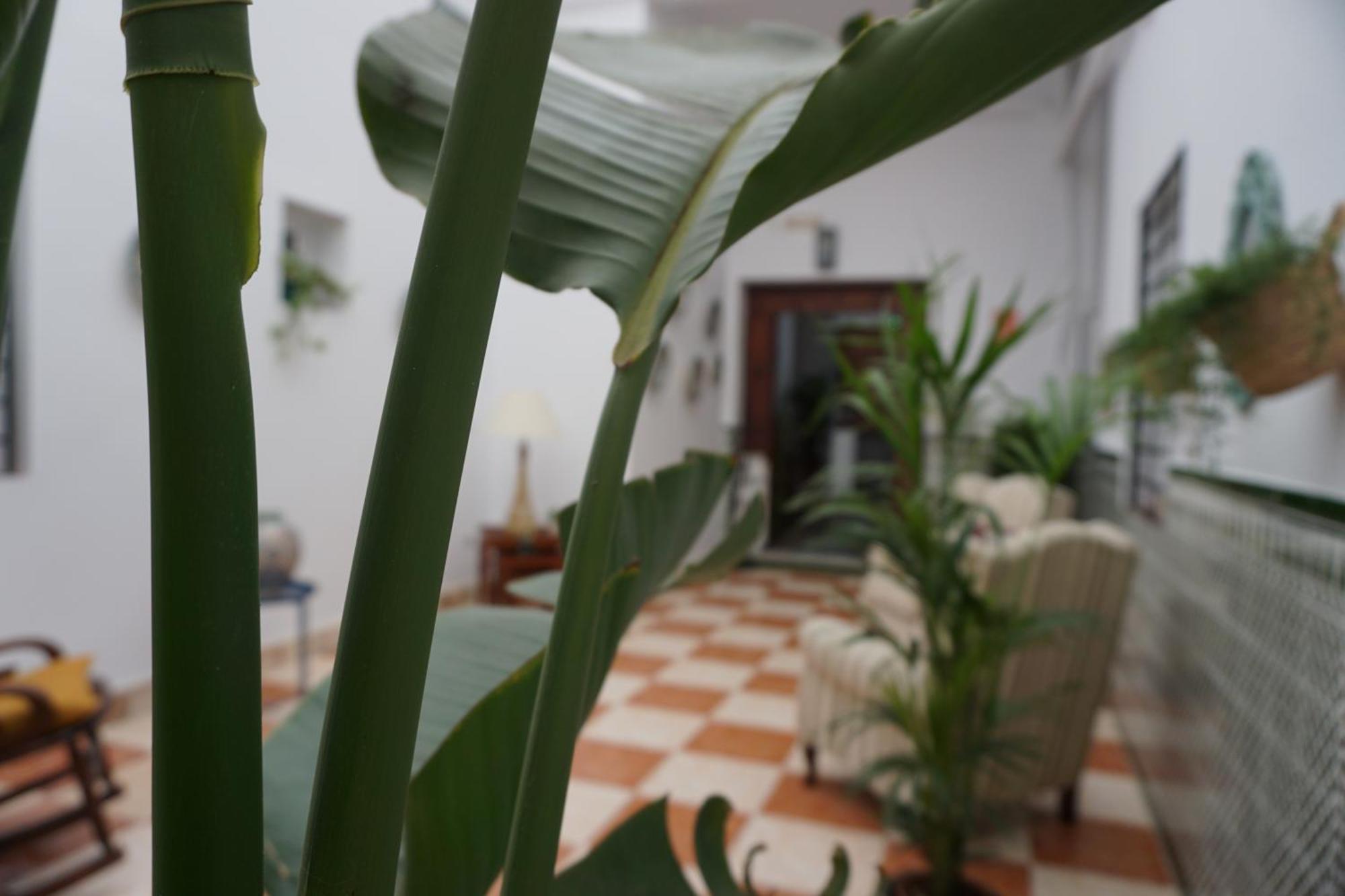 Montserrat Casa Del Mar شيبيونا المظهر الخارجي الصورة