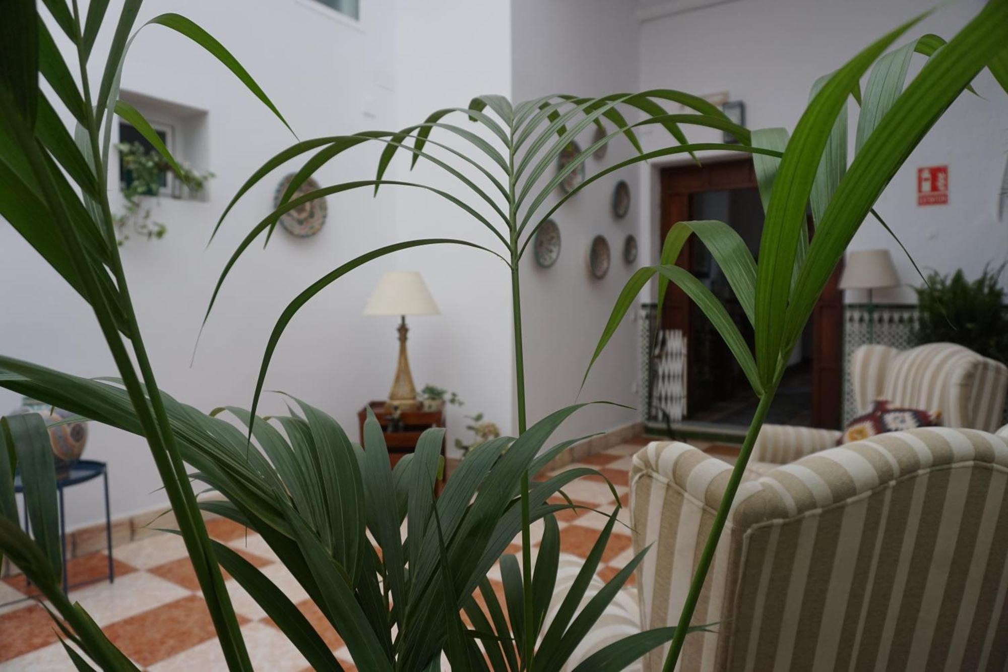 Montserrat Casa Del Mar شيبيونا المظهر الخارجي الصورة